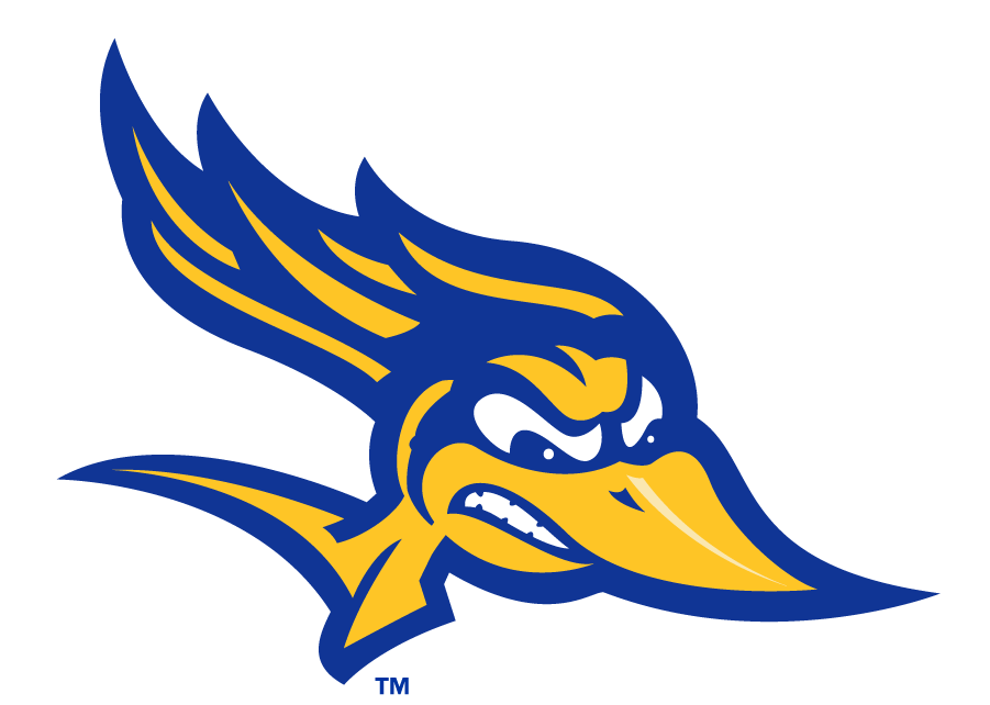 CSU Bakersfield Roadrunners 2019-Pres Primary Logo diy iron on heat transfer